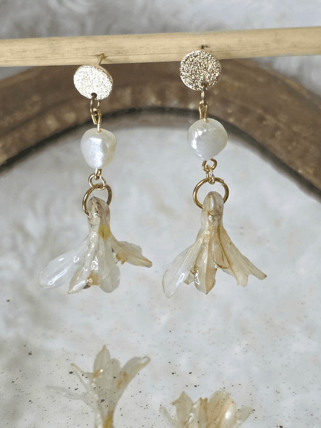 Les Agapanthes 