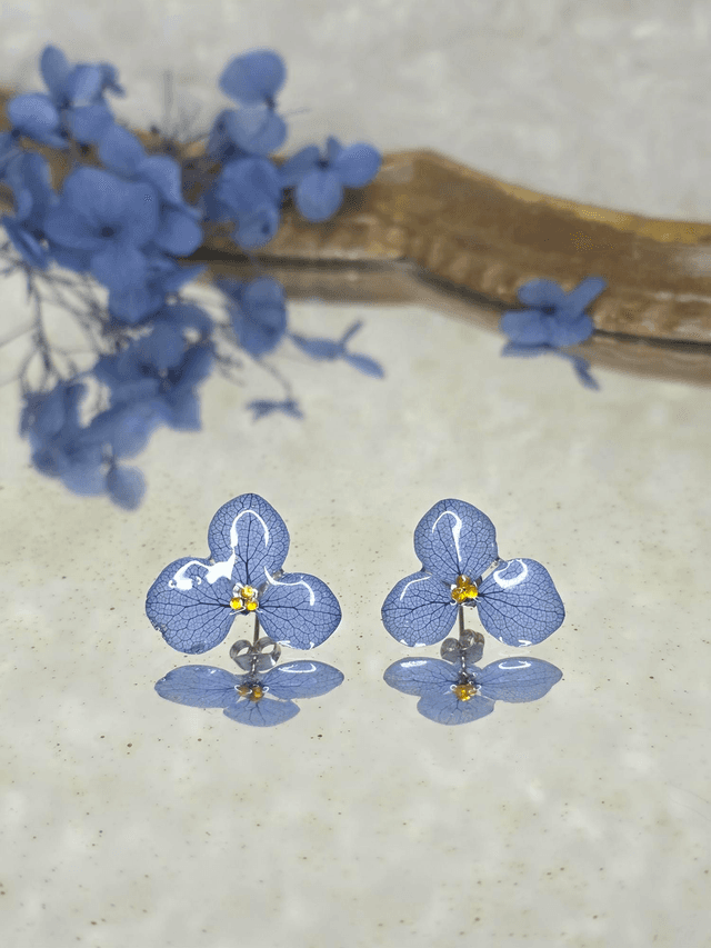 Les délicates simple bleu