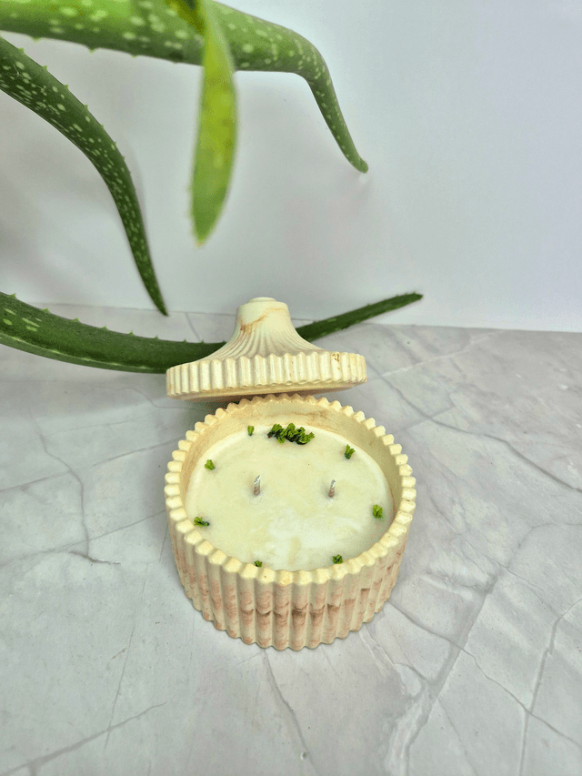Les bougies Aloe vera