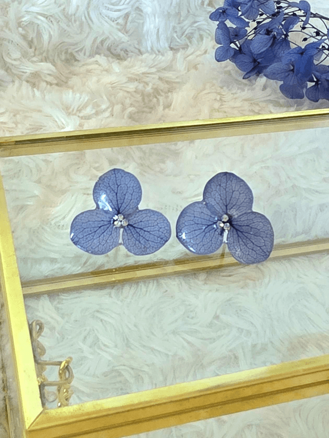 Les délicates simple bleu