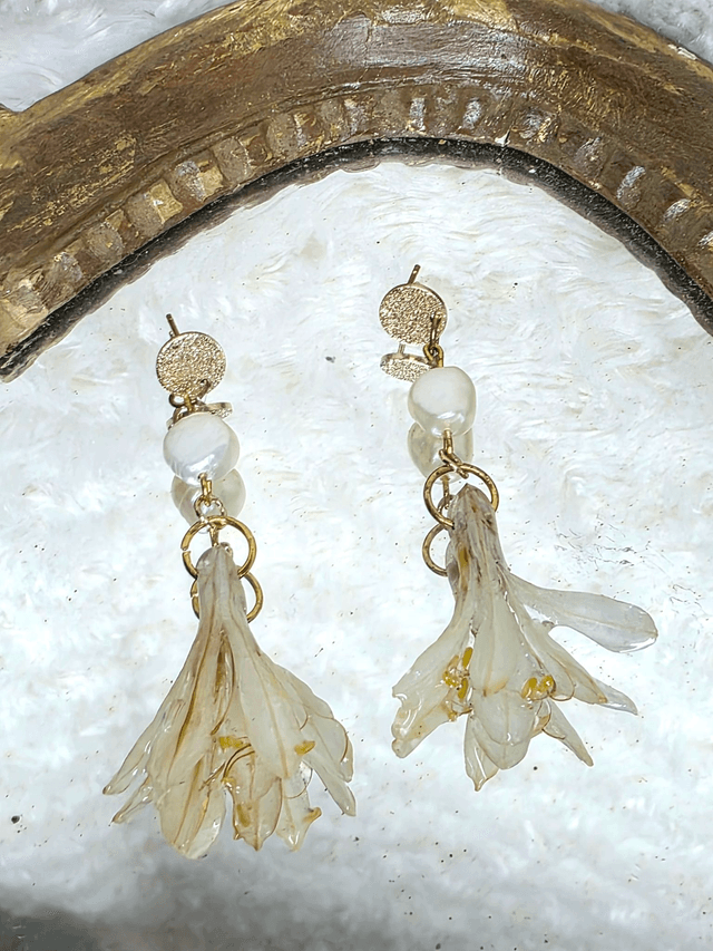 Les Agapanthes