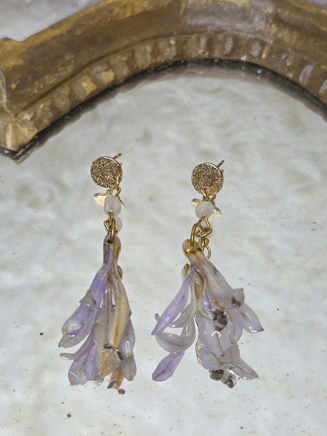 Les Agapanthes