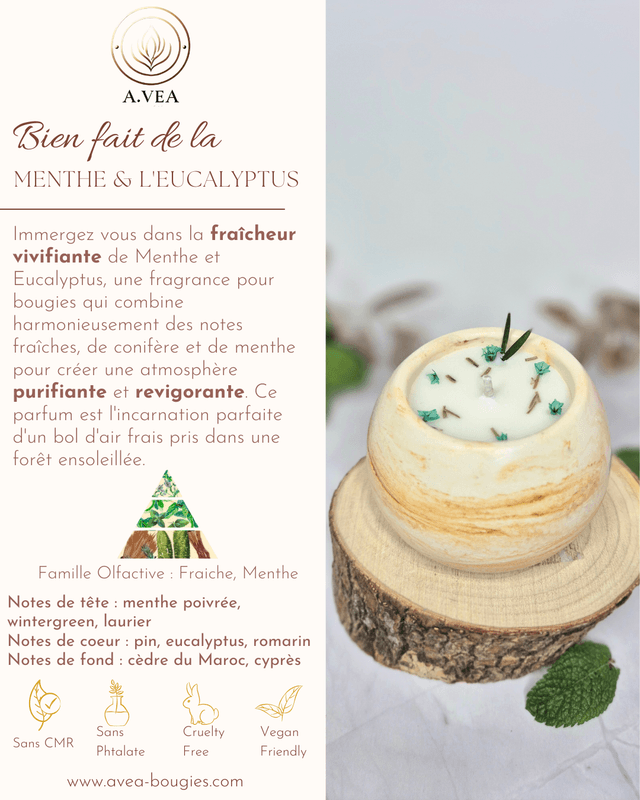Les bougies menthe & Eucalyptus
